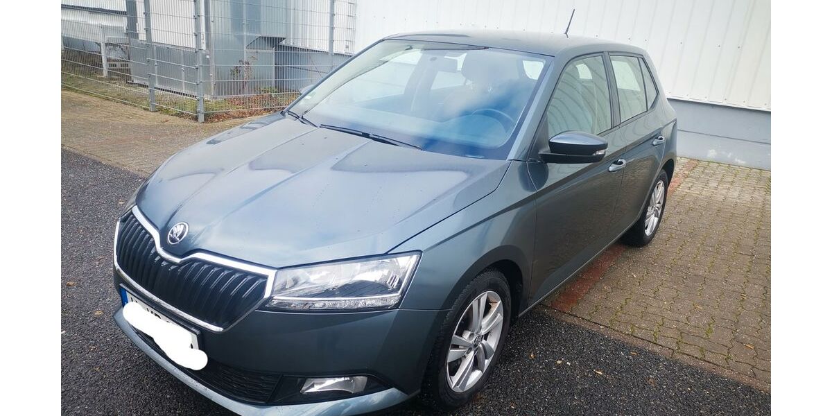 Skoda Fabia 17.000 km 18.000 &euro; Hannover 30880