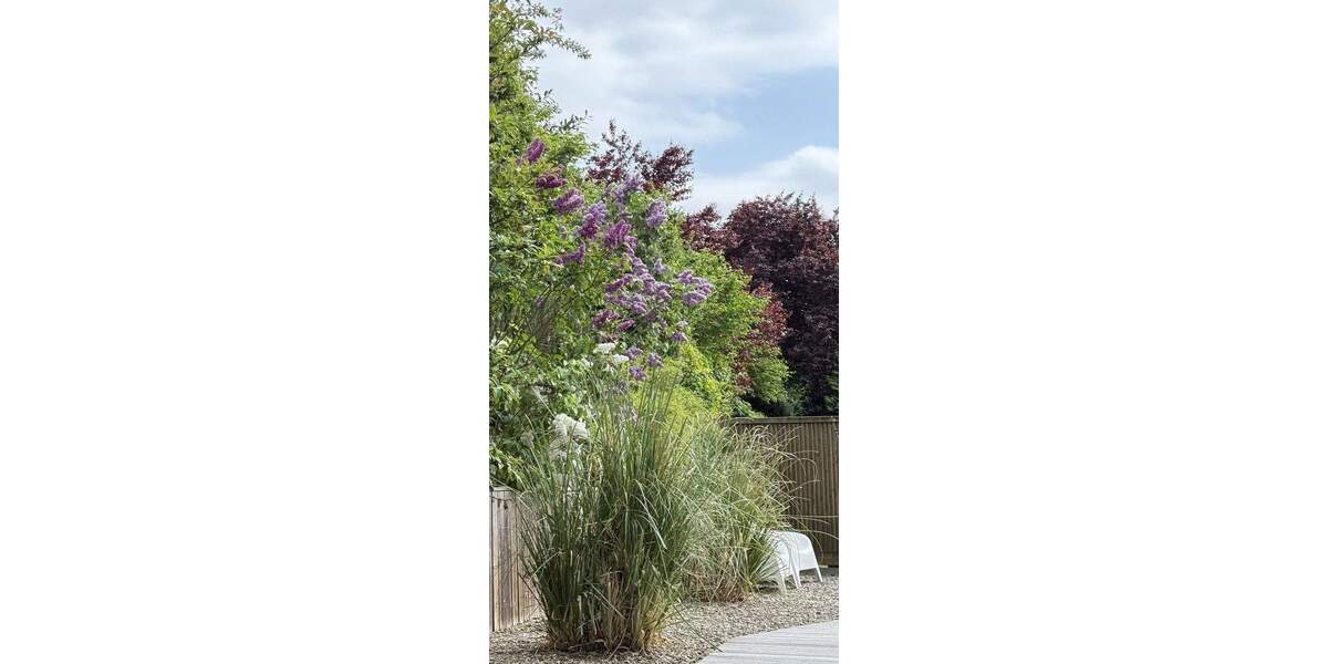 Einfamilienhaus Gehrden Everloh - 5 Zimmer, 170 m&sup2;, 695.000&euro; | Angebot:25757031