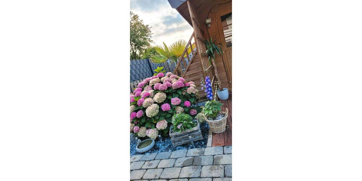 Reihenhaus Schwarmstedt - 4 Zimmer, 107 m&sup2;, 310.000&euro; | Angebot:25752412