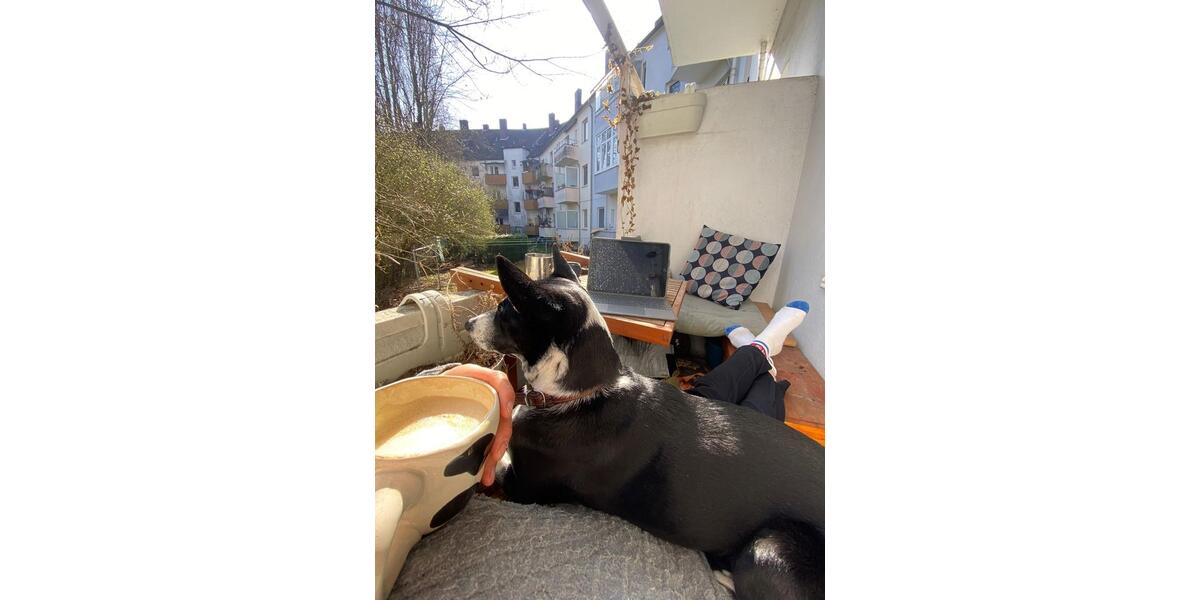 Erdgeschoßwohnung Hannover Vahrenwald-List - 1 Zimmer, 30 m&sup2;, 630&euro; | Angebot:25858517