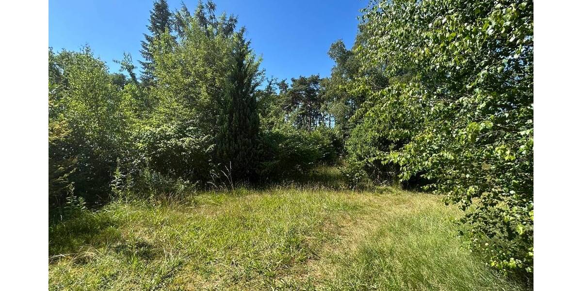 Einfamilienhaus Rodewald - 7 Zimmer, 223 m&sup2;, 275.000&euro; | Angebot:25694584