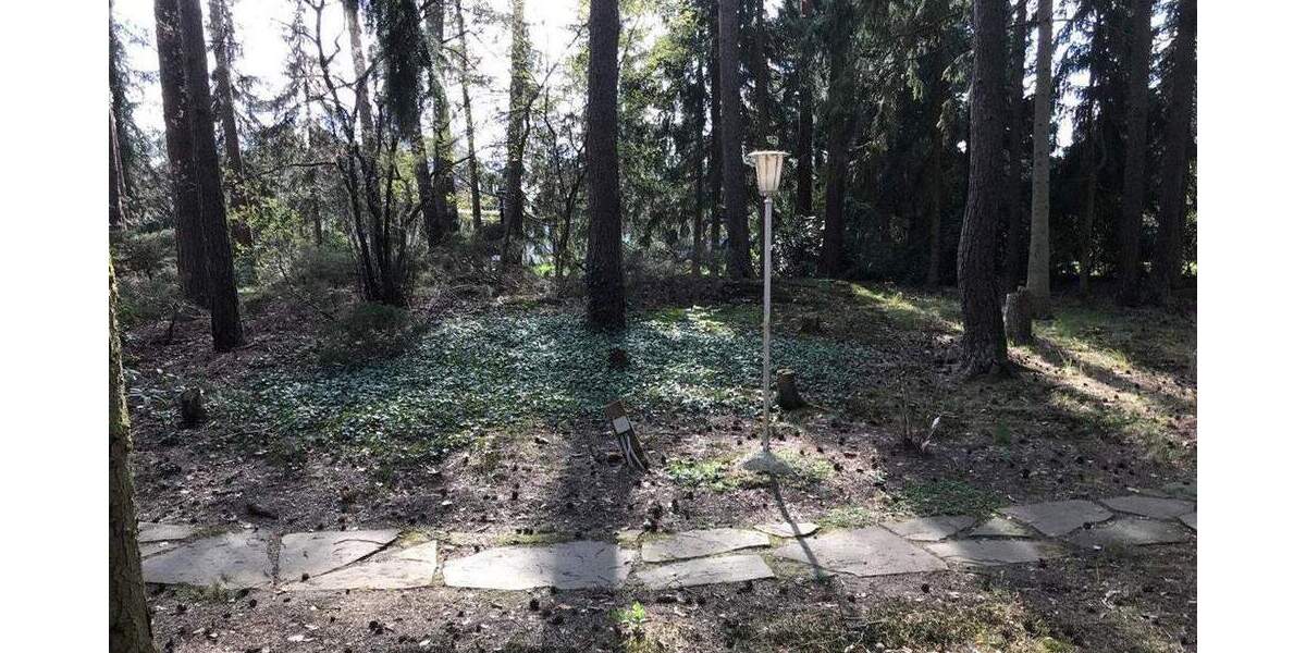 Grundstück Lindwedel - 175.000&euro; | Angebot:25772297