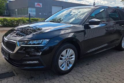 Skoda Octavia 55.600 km 21.599 &euro; Garbsen bei Hannover 30827