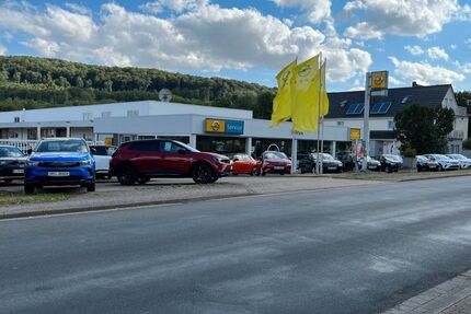 Opel Grandland (X) 35.986 km 24.990 &euro; Springe 31832