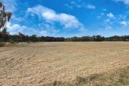 Grundstück Neustadt - 457.000&euro; | Angebot:24902949