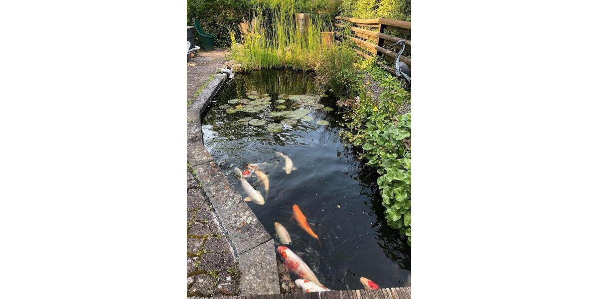 Einfamilienhaus Garbsen Ortschaft Horst - 6 Zimmer, 161 m&sup2;, 499.000&euro; | Angebot:26610350