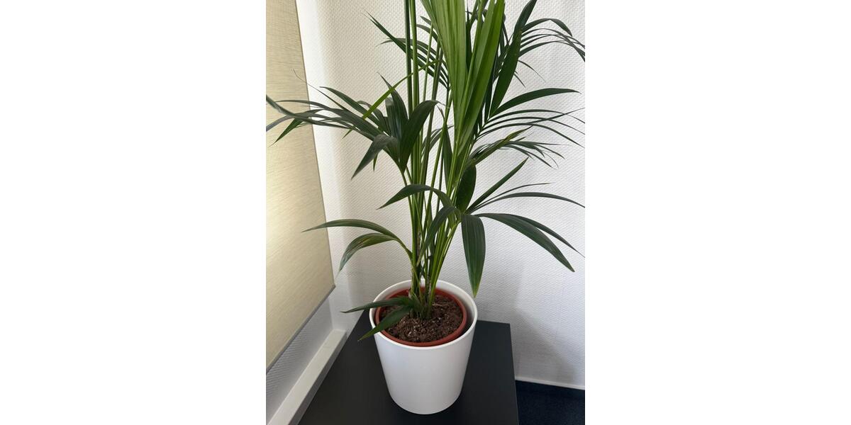 Gewerbeobjekt Langenhagen - 599&euro; | Angebot:25728733