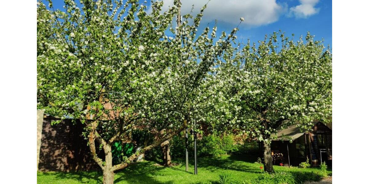 Mehrfamilienhaus, Wohnhaus Neustadt am Rübenberge - 6 Zimmer, 124 m&sup2;, 359.000&euro; | Angebot:25543129