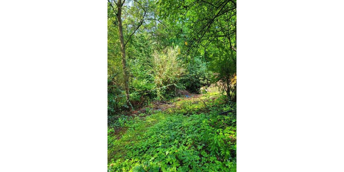 Bungalow Burgdorf - 6 Zimmer, 155 m&sup2;, 1.350&euro; | Angebot:24842683